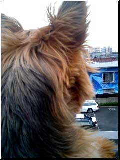 c0033145_21582911.jpg