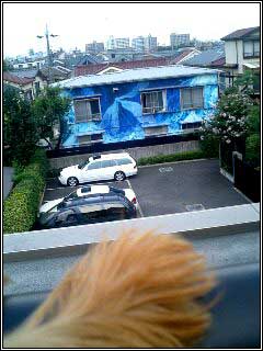 c0033145_22104968.jpg