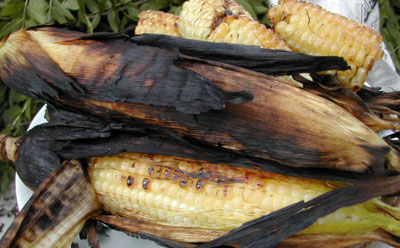 b0069848_2033960.jpg