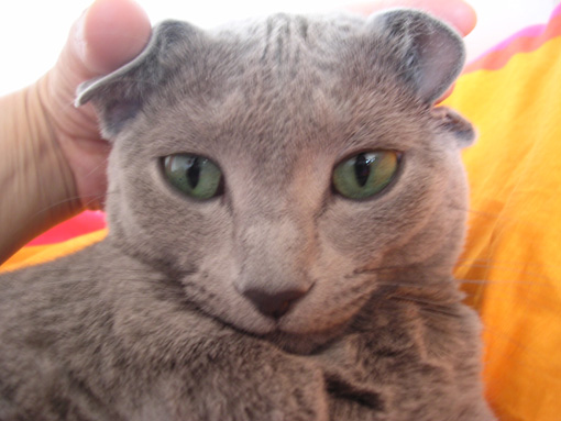 c0006748_54359.jpg
