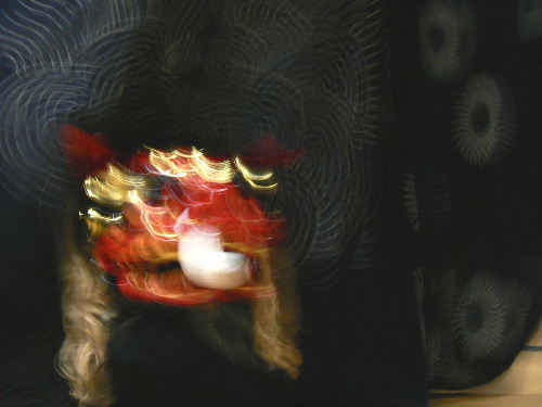 b0015260_14303354.jpg