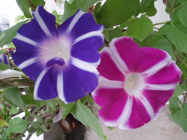 b0061261_2033520.jpg