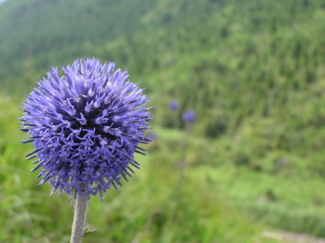 c0042869_22375936.jpg