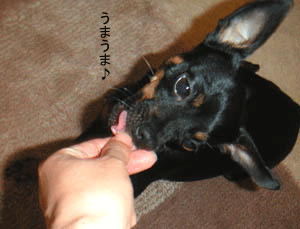 c0012571_23274276.gif