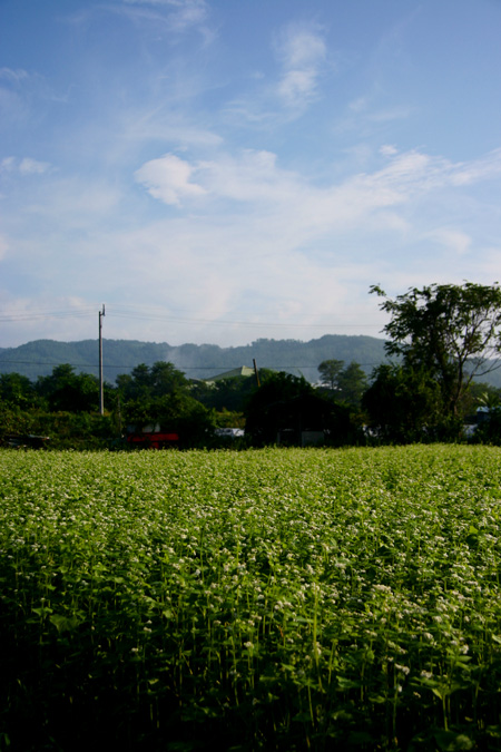 c0030874_9284578.jpg