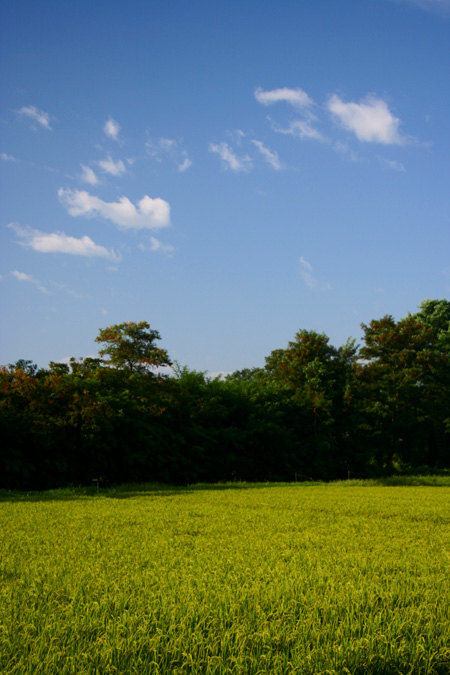 c0030874_9285686.jpg