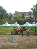 c0046281_0475566.jpg