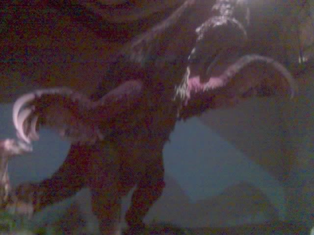 b0058997_1427338.jpg
