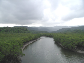 d0051707_10234256.jpg