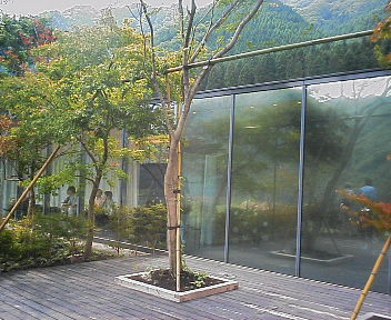 d0013816_1952527.jpg