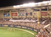 b0008526_28455.jpg