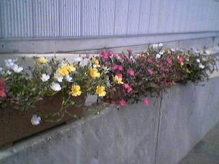 c0024743_20262944.jpg