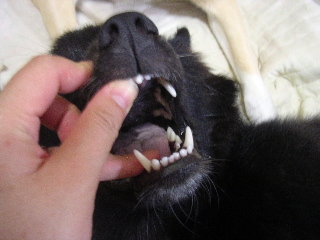 c0065643_22414022.jpg