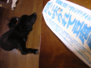 c0065643_22453668.jpg
