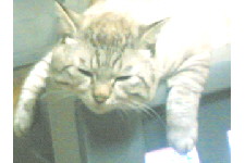 c0011446_17133595.jpg