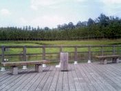 b0003650_23223788.jpg