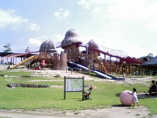 b0003650_23342941.jpg