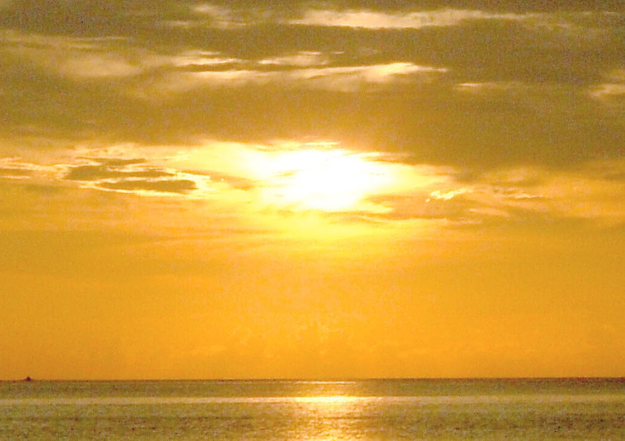 e0051651_113494.jpg