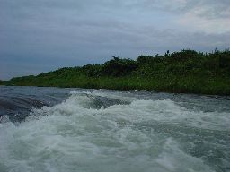 d0043161_9402281.jpg