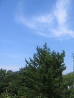 e0031568_14471646.jpg
