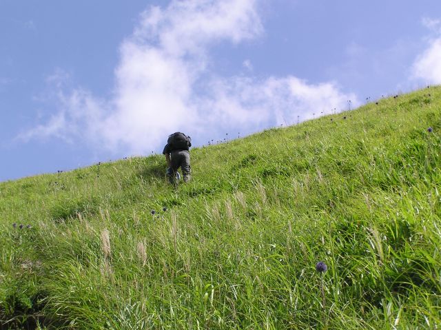 c0042869_22541888.jpg