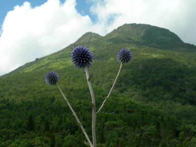 c0042869_2256135.jpg
