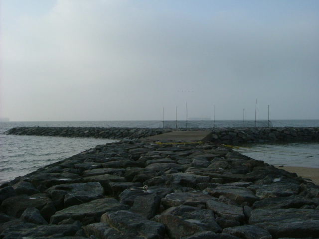 b0055171_22215914.jpg