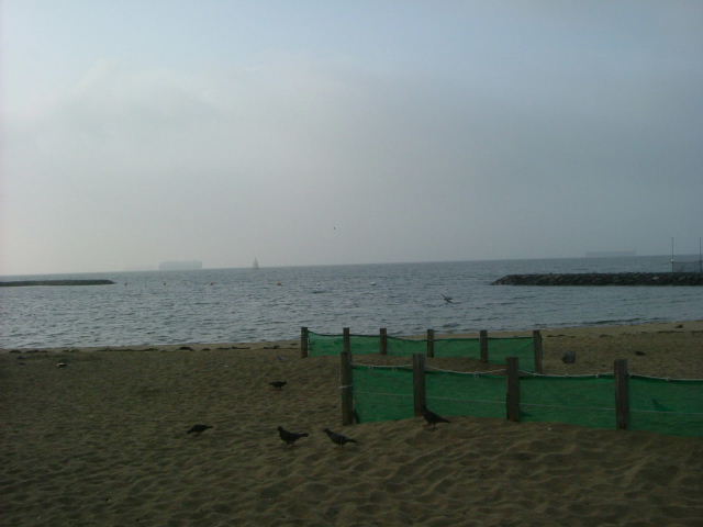 b0055171_22263328.jpg