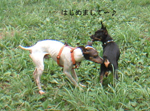 c0012571_12254759.gif