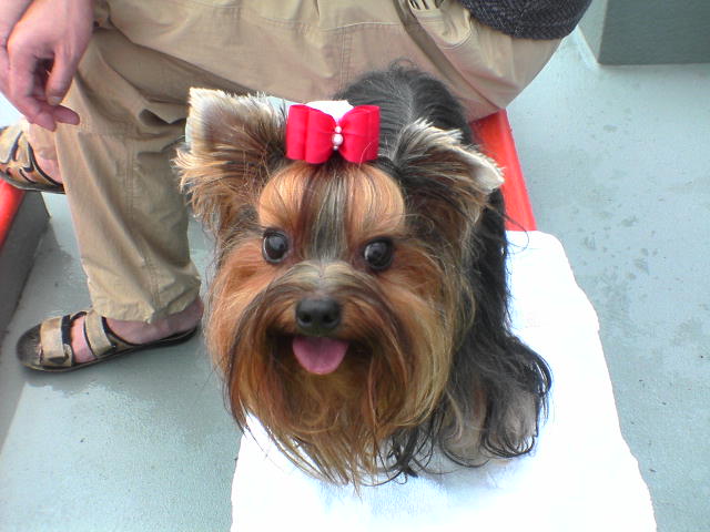 c0031582_2037345.jpg