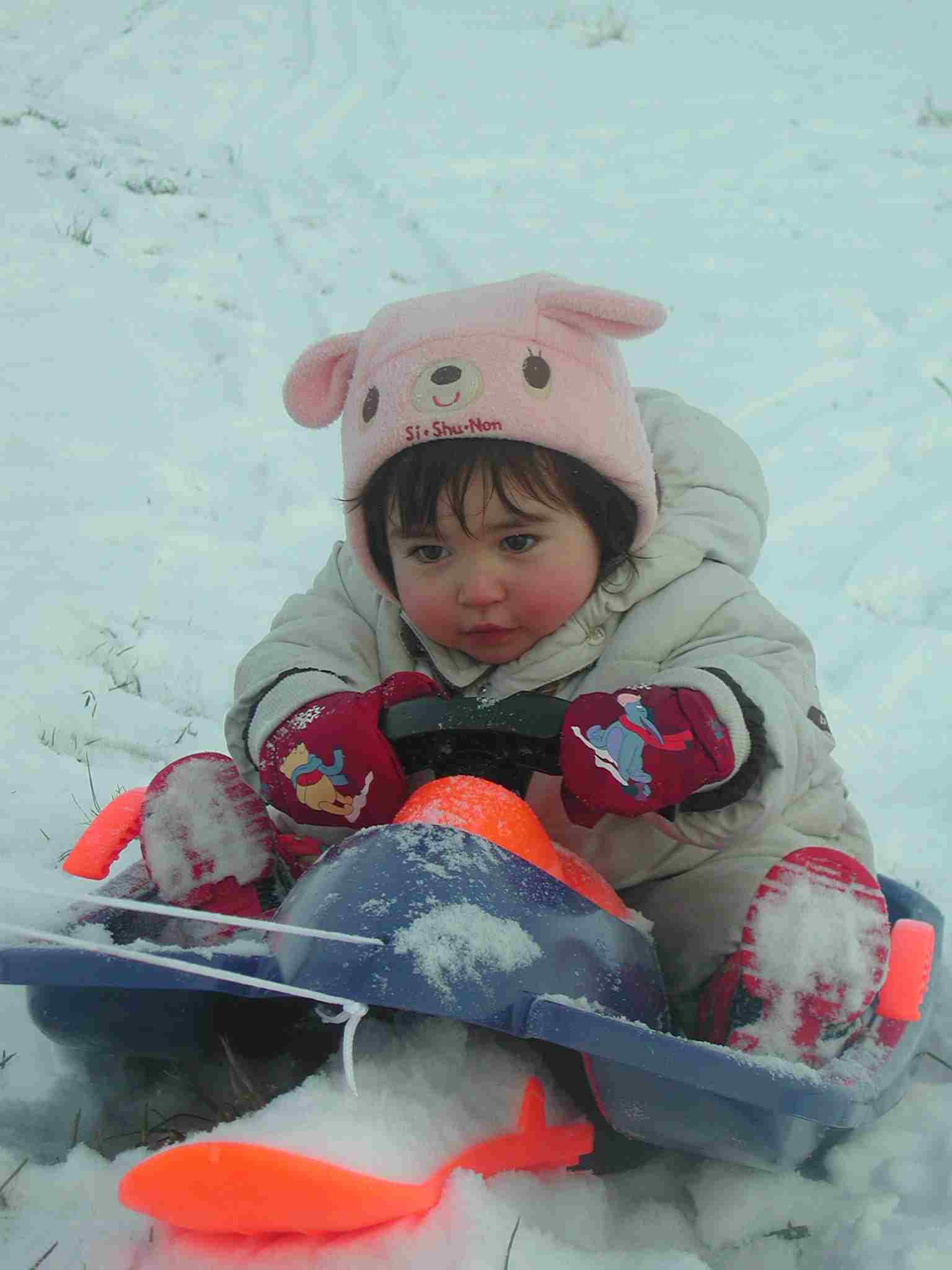 e0012482_2012926.jpg