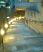 a0009386_236767.jpg