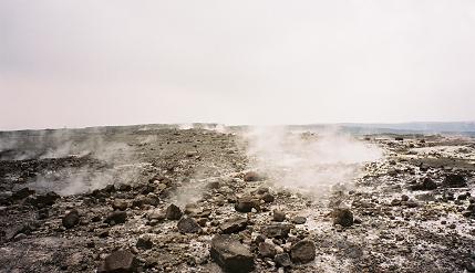 b0015290_21423656.jpg