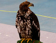 e0009391_16554477.jpg