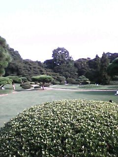 b0061596_10563419.jpg