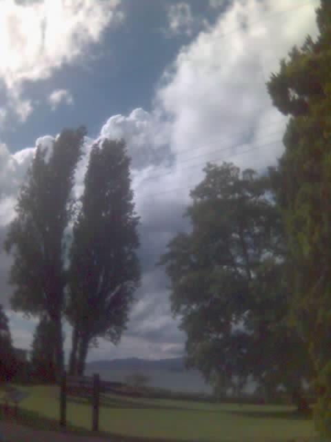 b0058997_1454366.jpg