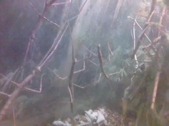 b0058997_1481067.jpg