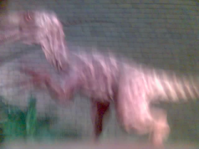 b0058997_291796.jpg