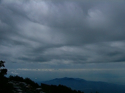 d0046905_1632692.jpg