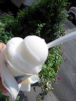 a0034225_924599.jpg