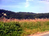 a0020929_2254468.jpg