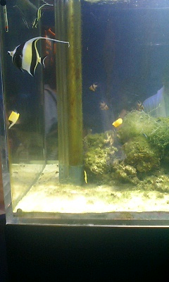 c0039934_23413284.jpg