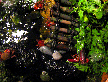 c0014035_116365.jpg