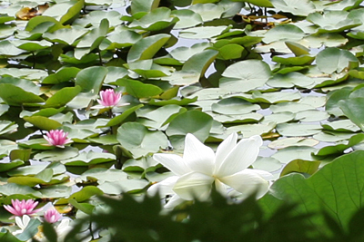 a0003138_0213613.jpg