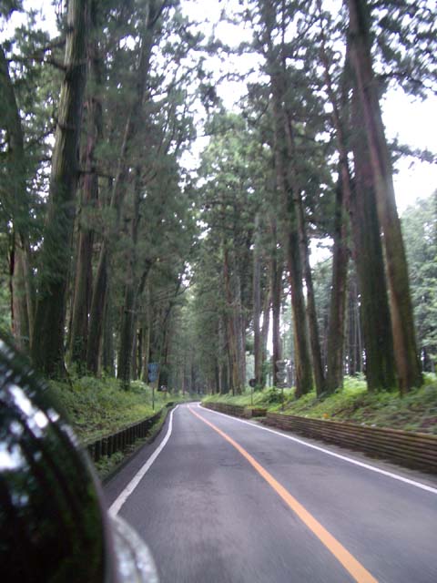 c0007741_235498.jpg