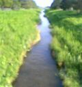 c0042941_23144554.jpg