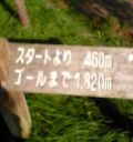 c0042941_233377.jpg