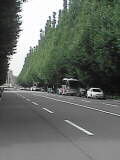 b0064943_1558565.jpg