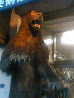 a0023548_11242425.jpg