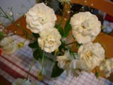 e0045860_23175926.jpg